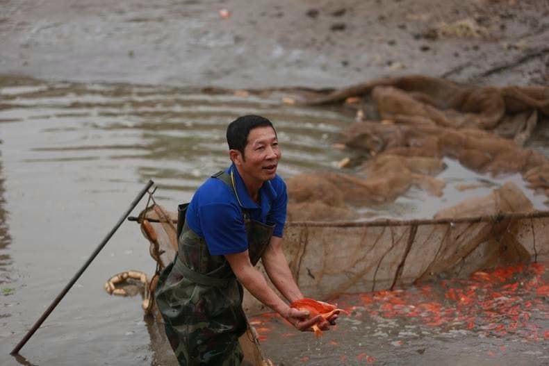 Niềm phấn khởi của người dân khi năm nay cá đẹp, bán được giá