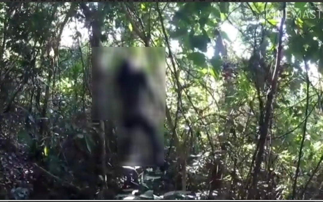 Sau khi nhắn tin cho anh trai, M đã treo cổ tự tử. Ảnh minh hoạ