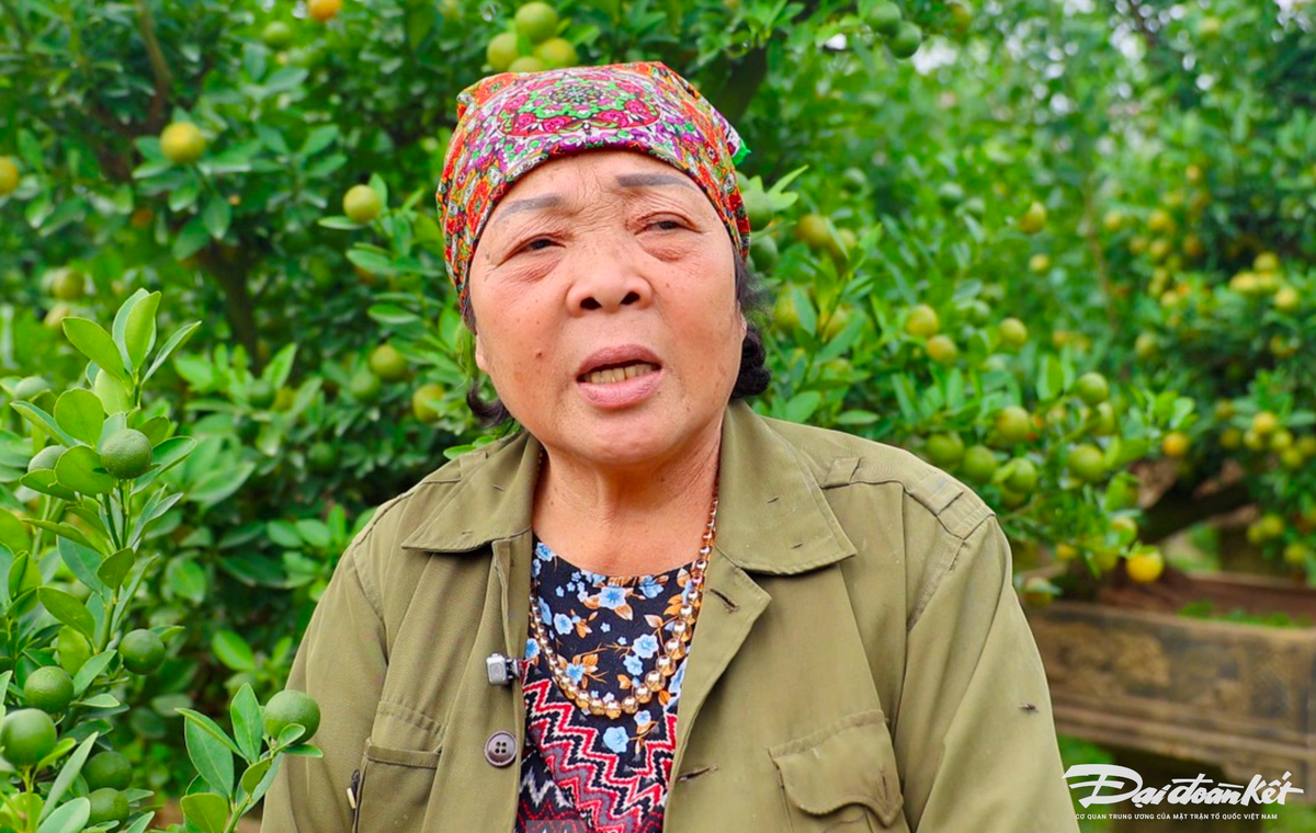 Ảnh màn hình 2024-12-11 lúc 23.28.11