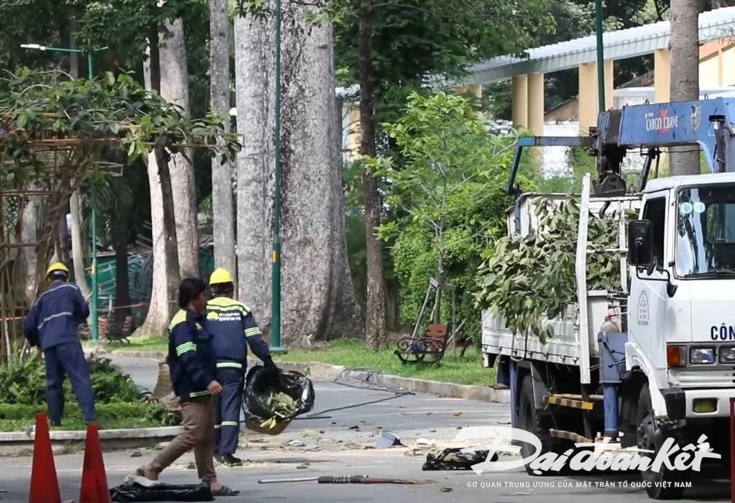 Hiện trường vụ gãy đổ nhánh cây cổ thụ tại Công viên Tao Đàn (quận 1, TPHCM) vào sáng nay.