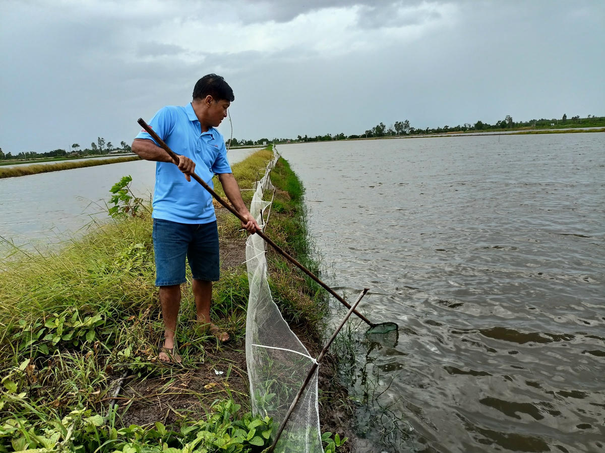 Mô hình “4 trong 1” thích ứng với biến đổi khí hậu đã giúp đời sống gia đình ông Mưa ngày thêm sung túc.