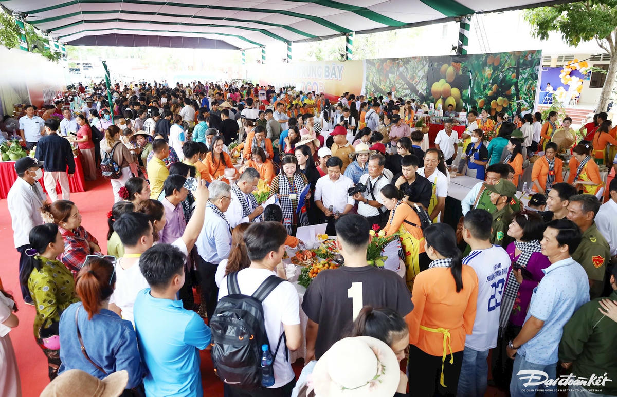 A- đông đảo du khách đến với ngày hội thanh trà