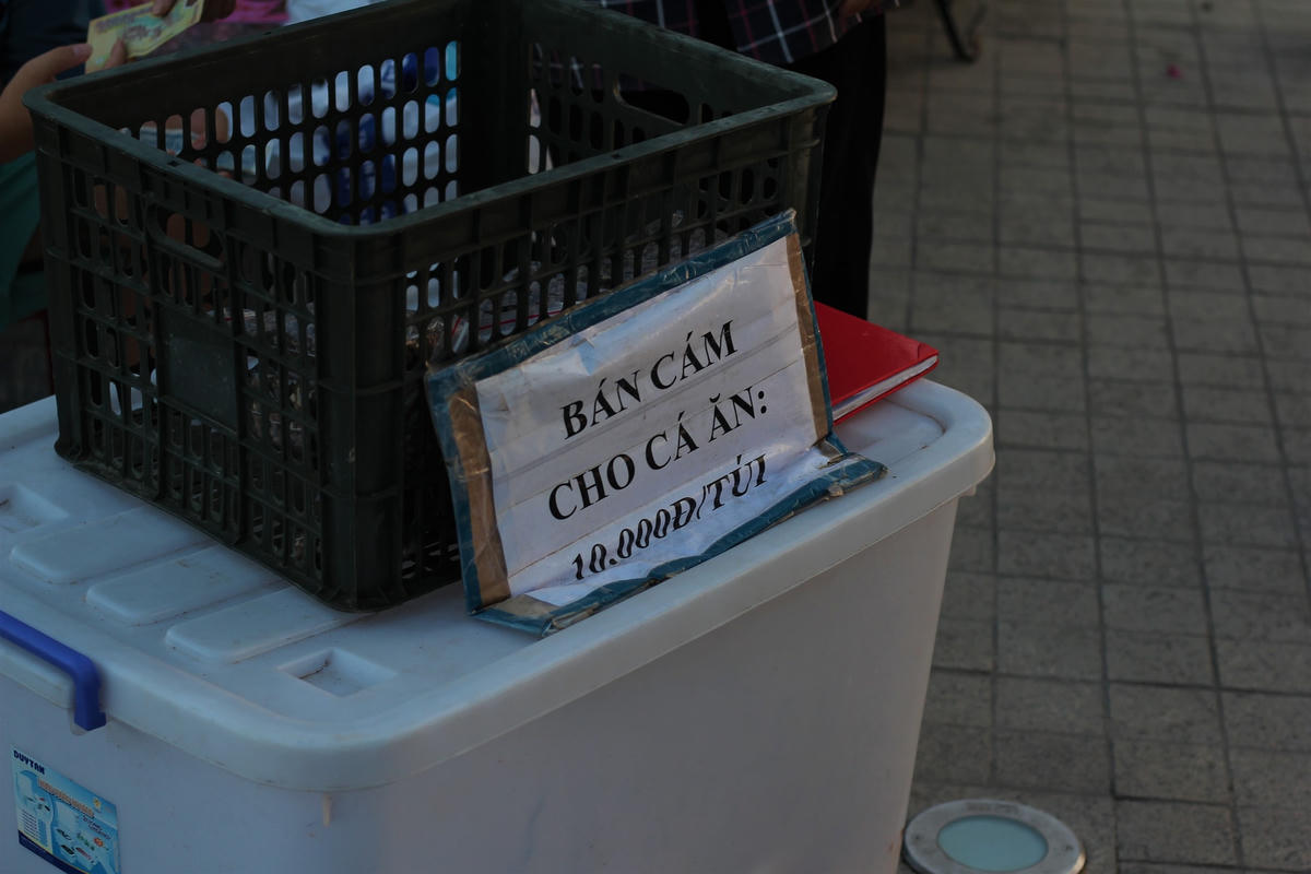 Bên cạnh Hồ cá Koi được bày bán cám cho cá ăn với giá 10.000 đồng/túi.