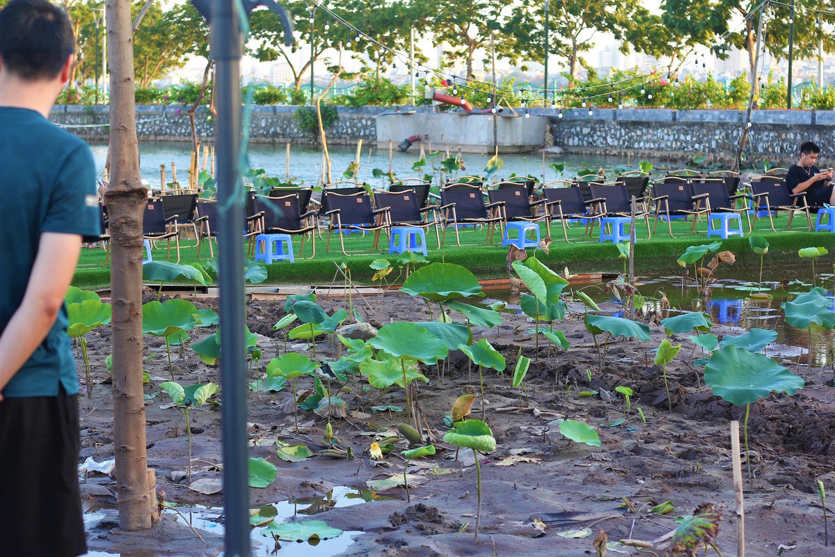 Hồ nước này gọi là Đầm Đông (phường Quảng An, quận Tây Hồ, Hà Nội) với ba mặt tiếp giáp với Hồ Tây. Nơi đây vốn nổi tiếng về hoa sen vào tháng 6. Tuy nhiên, khi hết mùa sen thì nơi đây khá đơn điệu.