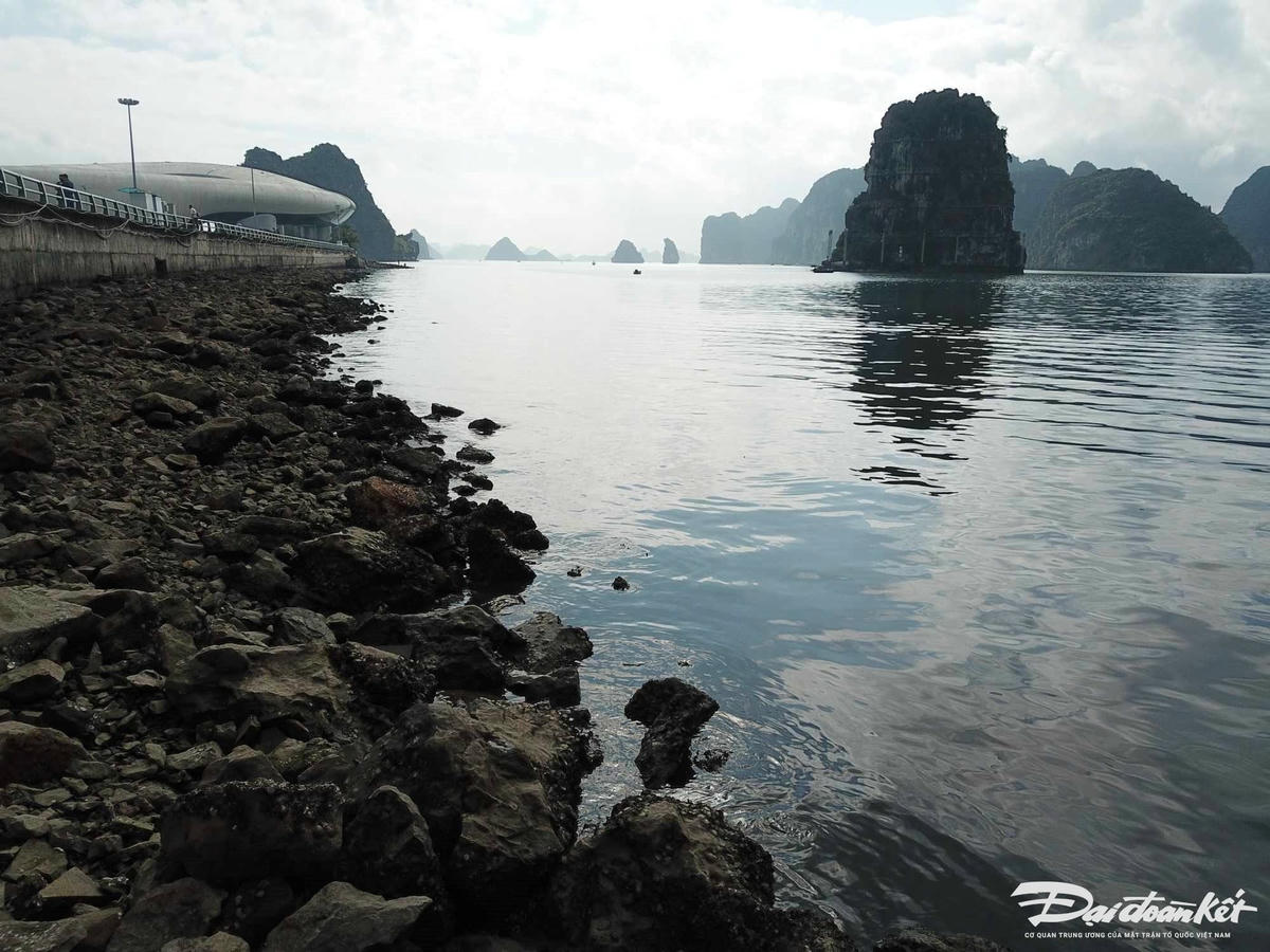 Mùi hôi thối theo nước thải từ các cửa cống này bốc lên nồng nặc. Ảnh: Nguyễn Quý