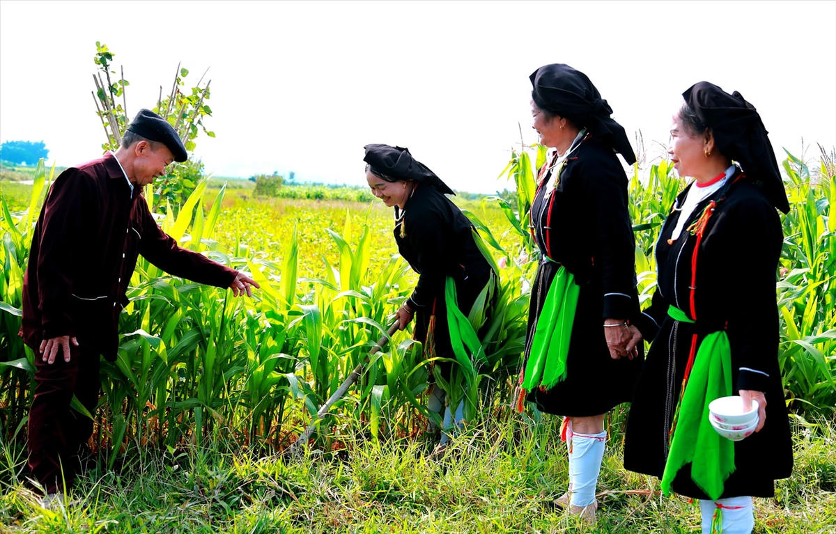 Làn điệu Soọng cô của người Sán Dìu là tiếng nói của người lao động, ngôn ngữ trong Soọng cô có nguồn gốc dân dã, thể hiện bản chất bình dị, chất phác, hồn nhiên của người nông dân.