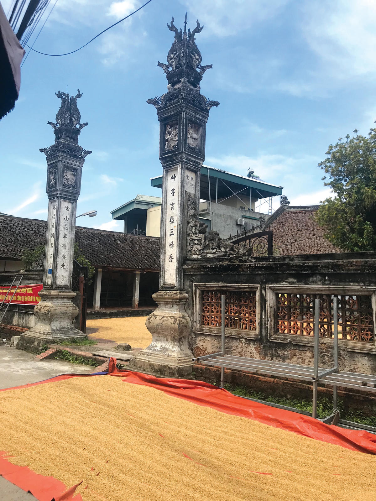 Phơi thóc quanh đình làng.  