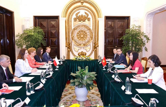 Thứ trưởng Ngoại giao Lê Thị Thu Hằng và Phó Quốc vụ khanh Bộ Ngoại giao Ba Lan Anna Krystyna Radwan-Rohrenschef đồng chủ trì Tham vấn chính trị cấp Thứ trưởng Ngoại giao Việt Nam - Ba Lan sáng 30/5/2024. (Ảnh: Doãn Tấn/TTXVN) viet-nam-ba-lan-2.jpg