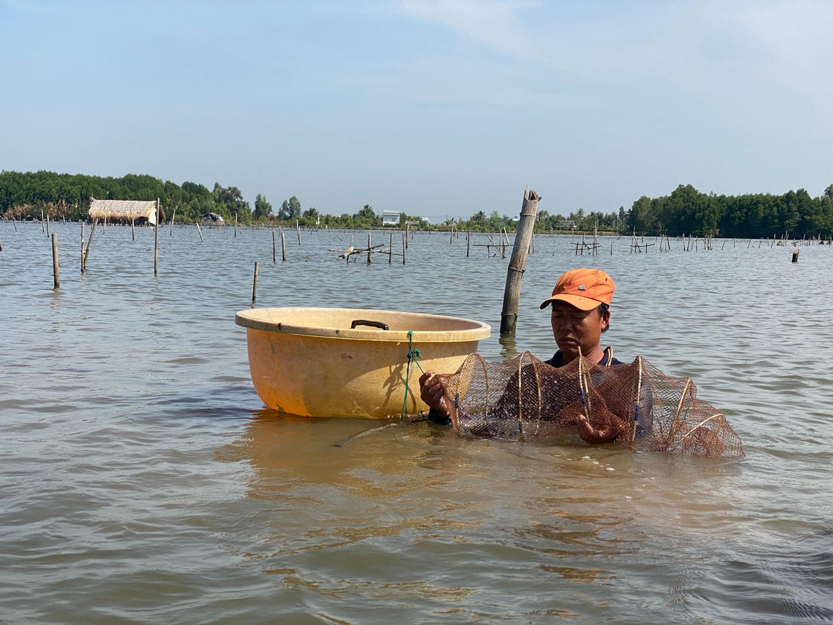 Chú Năm cần mẫn với công việc của mình.  