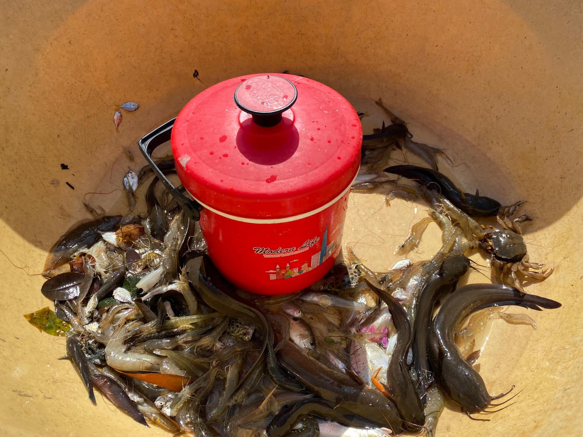 Mưu sinh trên đầm Thị Tường