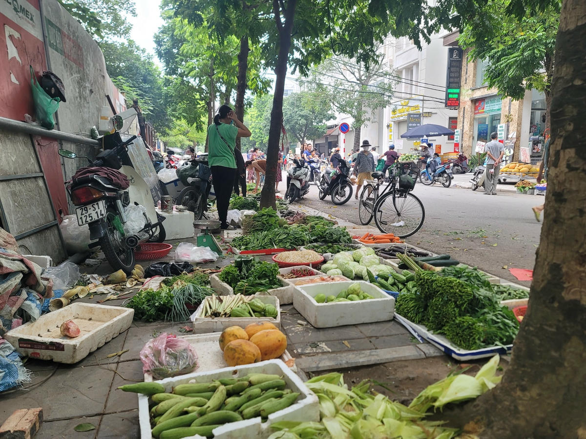 Hàng hoá, rau củ quả, thực phẩm,... được các tiểu thương bày kín vỉa hè.