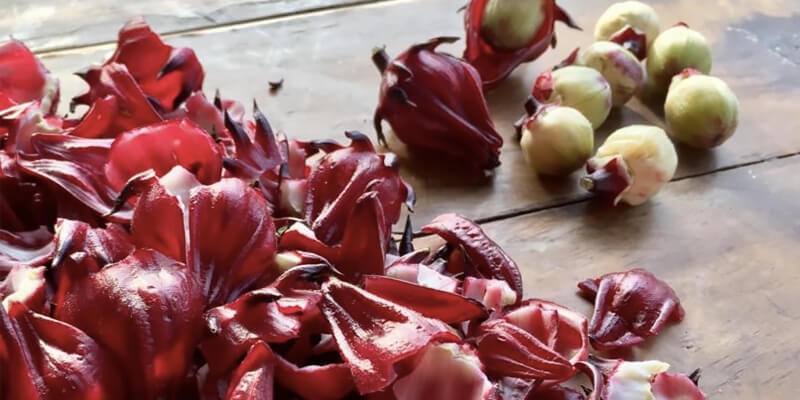 Sơ chế nguyên liệu