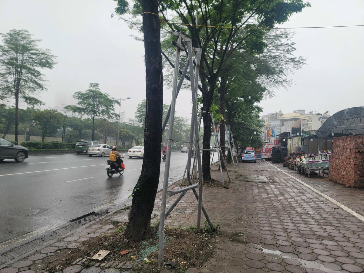 Tại đường Võ Chí Công, một số khung sắt bị gãy, biến dạng không còn chống đỡ được cho cây.