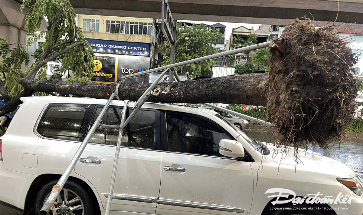 Ảnh màn hình 2025-07-19 lúc 17.58.24