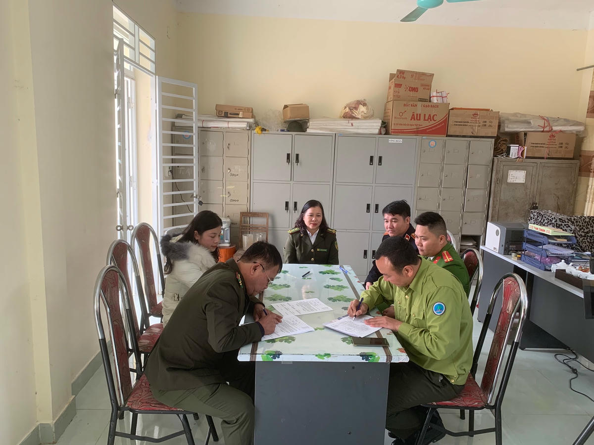 rung tâm Cứu hộ, Bảo tồn và Phát triển sinh vật Hoàng Liên và Hạt Kiểm lâm huyện Thạch An (tỉnh Cao Bằng) làm thủ tục bàn giao, tiếp nhận các cá thể chuột túi. Ảnh: Lã Tới