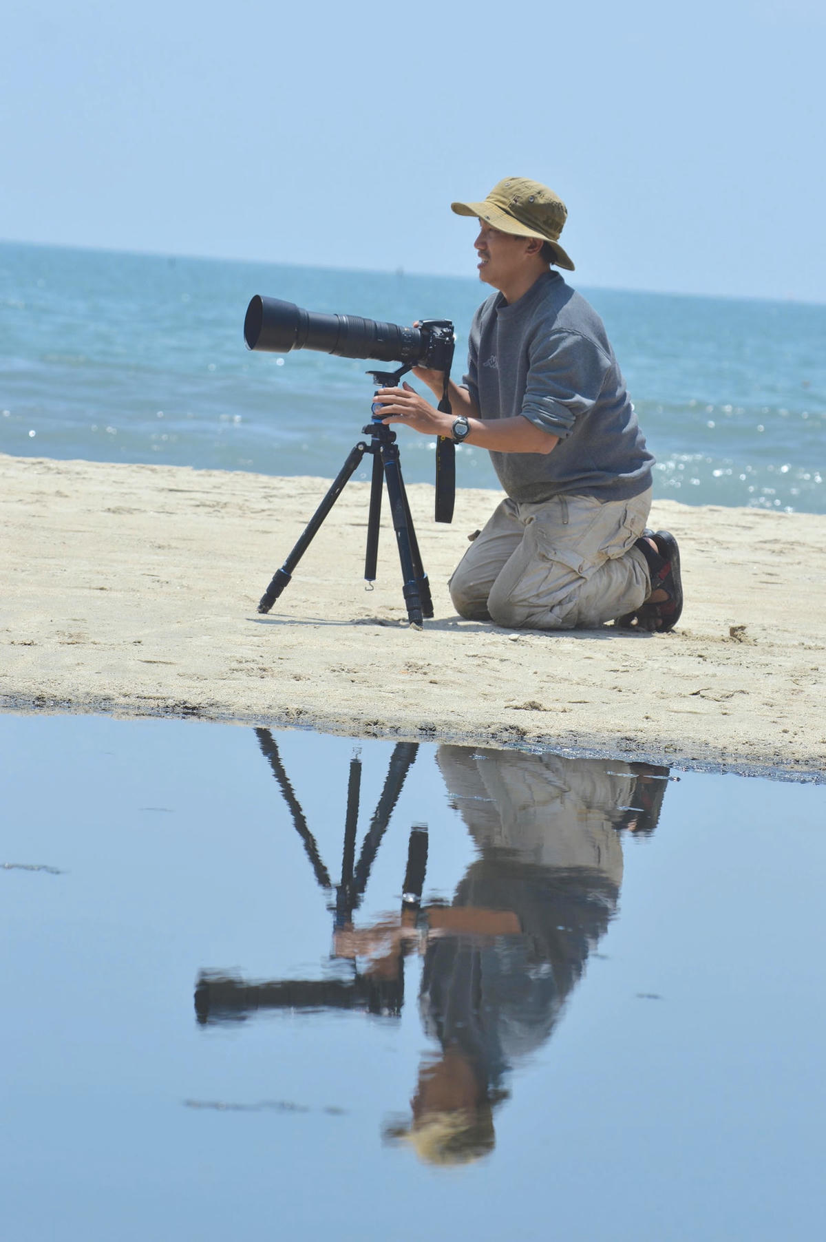 Rình chụp chim nước di trú.  