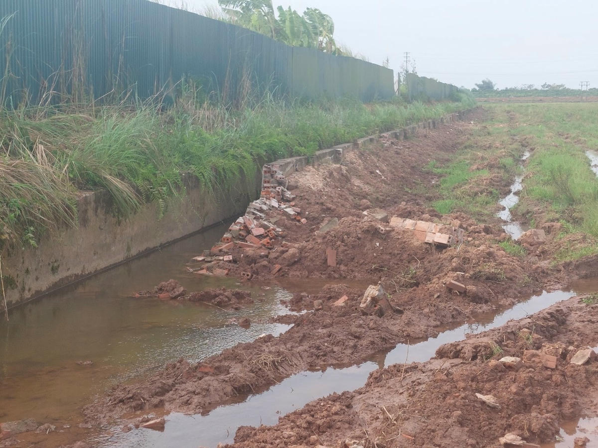 ... Vì mương thuỷ lợi bị phá...
