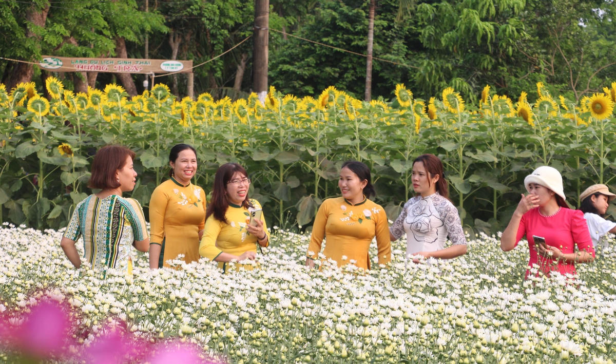Rất đông người dân rủ nhau đi check in ở vườn hoa.