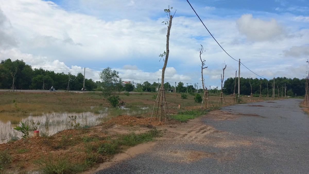 Có 3 người đã phải bỏ cọc sau khi đấu trúng các lô đất ở tại Khu đô thị khóm 6, thị trấn Diên Sanh.