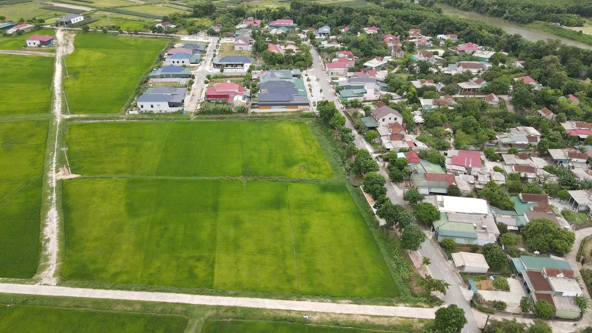 Đường sắt tốc độ caoa1_Một góc xã Cẩm Lạc khu vực dự kiến quy hoạch làm khu tái định cư phục vụ công tác giải phóng mặt bằng cho Dự án đường sắt cao tốc Bắc – Nam. Ảnh Cẩm Kỳ