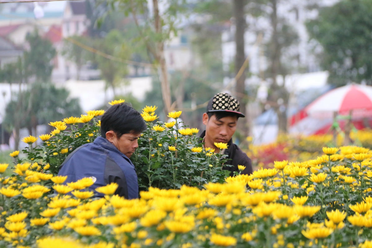 Tranh thủ thời điểm này, nhiều người cũng đến công viên Fidel Castro để kiếm thêm thu nhập từ việc vận chuyển thuê các chậu, cành hoa cho khách.