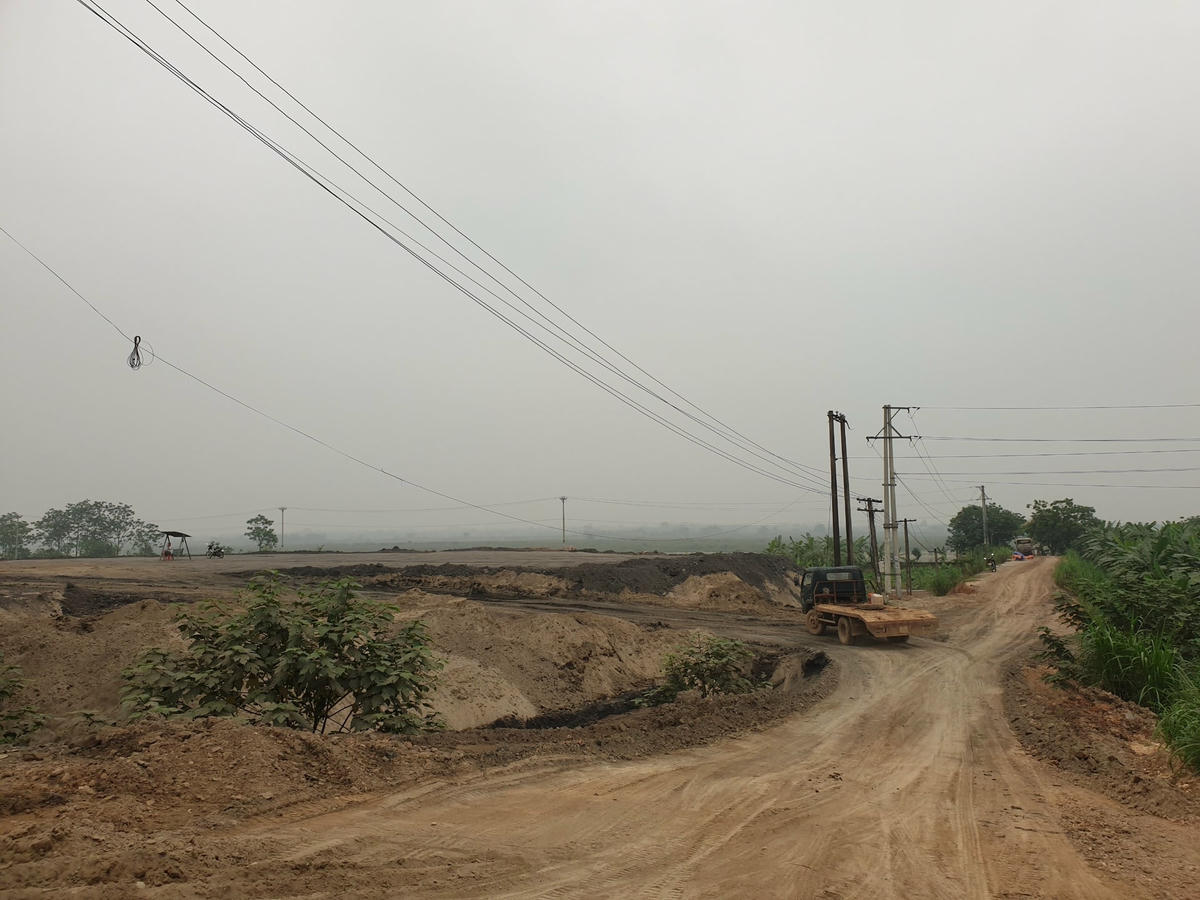 Đất được đổ để san gạt, làm đường và trồng nhiều cây lớn.