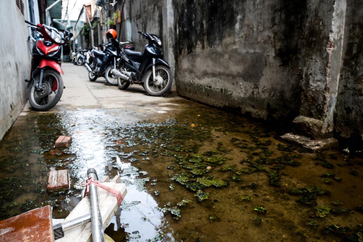 Nước tù bẩn sau mưa còn kéo theo cả rêu, mốc nổi thành từng mảng lớn. Khi trời nắng, nước bốc lên mùi tanh hôi khiến không khí xung quanh càng thêm ngột ngạt.