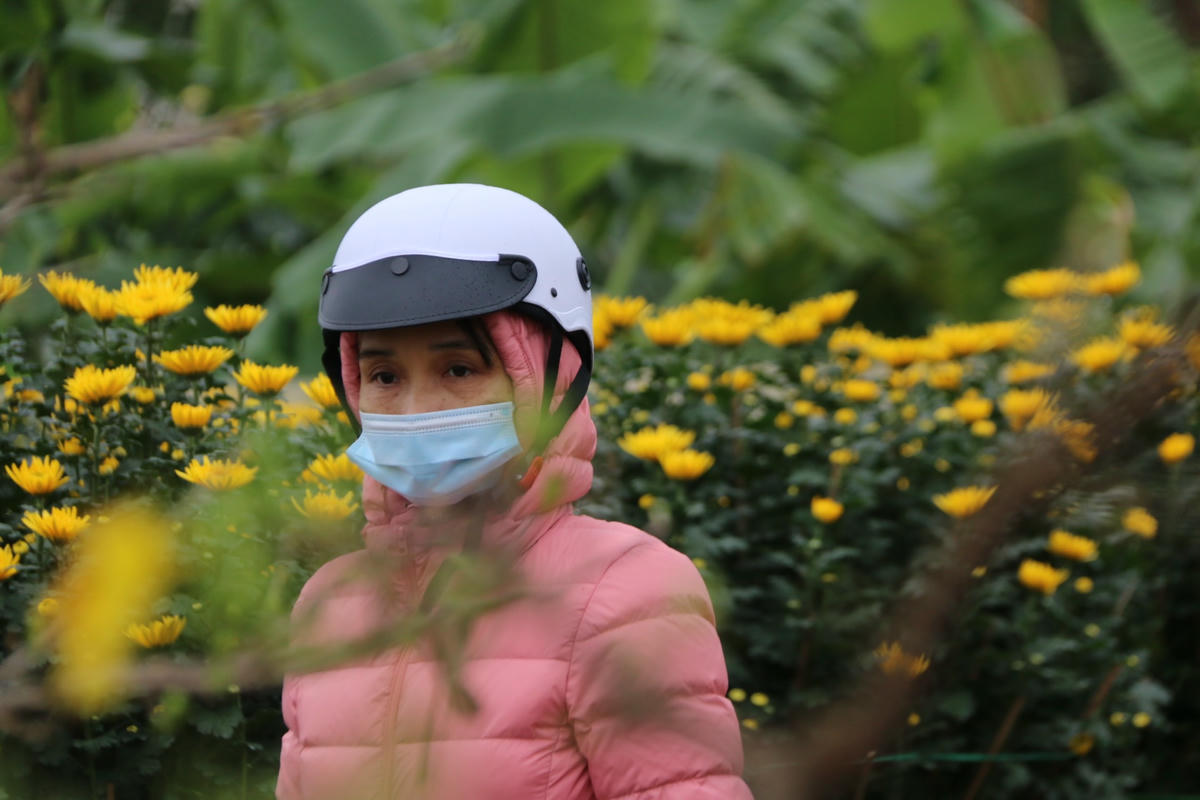 Nhiều người dân cũng đã bắt đầu đến đây để lựa chọn mua cây cảnh về trưng bày Tết Nguyên đán Quý Mão 2023.