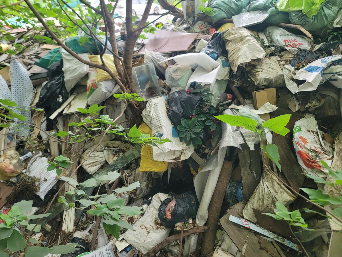 Ông Đ.T.Đ. (cư dân chung cư Seasons Avenue) vô cùng bức xúc cho biết rất lo lắng cho sức khoẻ của bản thân cũng như người dân sống tại đây, vì rác thải chất đống lớn thế kia sẽ là môi trường thuận lợi cho rắn, chuột, muỗi phát triển. Đặc biệt thời điểm này Hà Nội đang có nhiều điểm nóng của dịch sốt xuất huyết. 