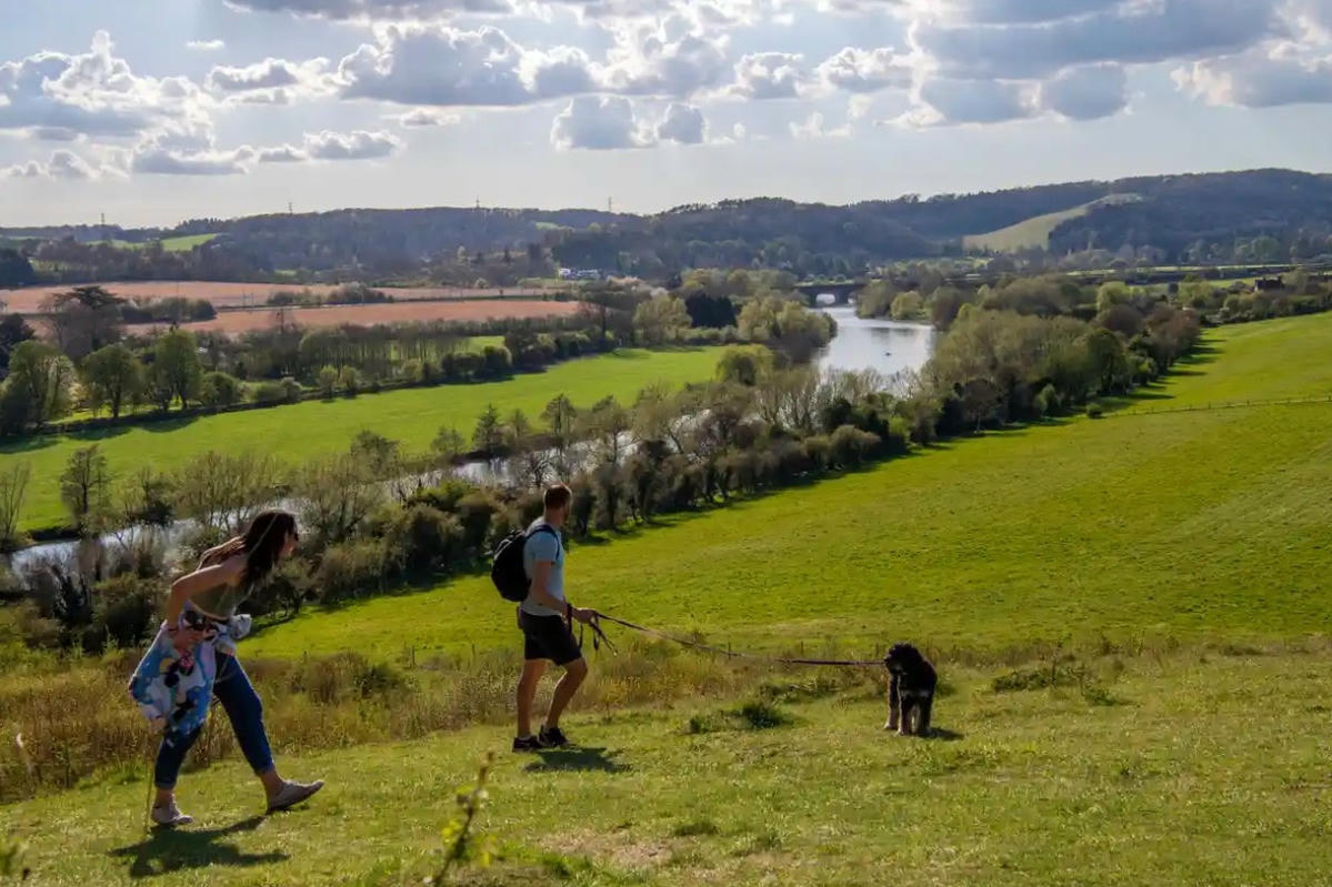 Hartslock có tầm nhìn tuyệt đẹp ra Cầu đường sắt Thames và Gatehampton. Ảnh: The Guardian.