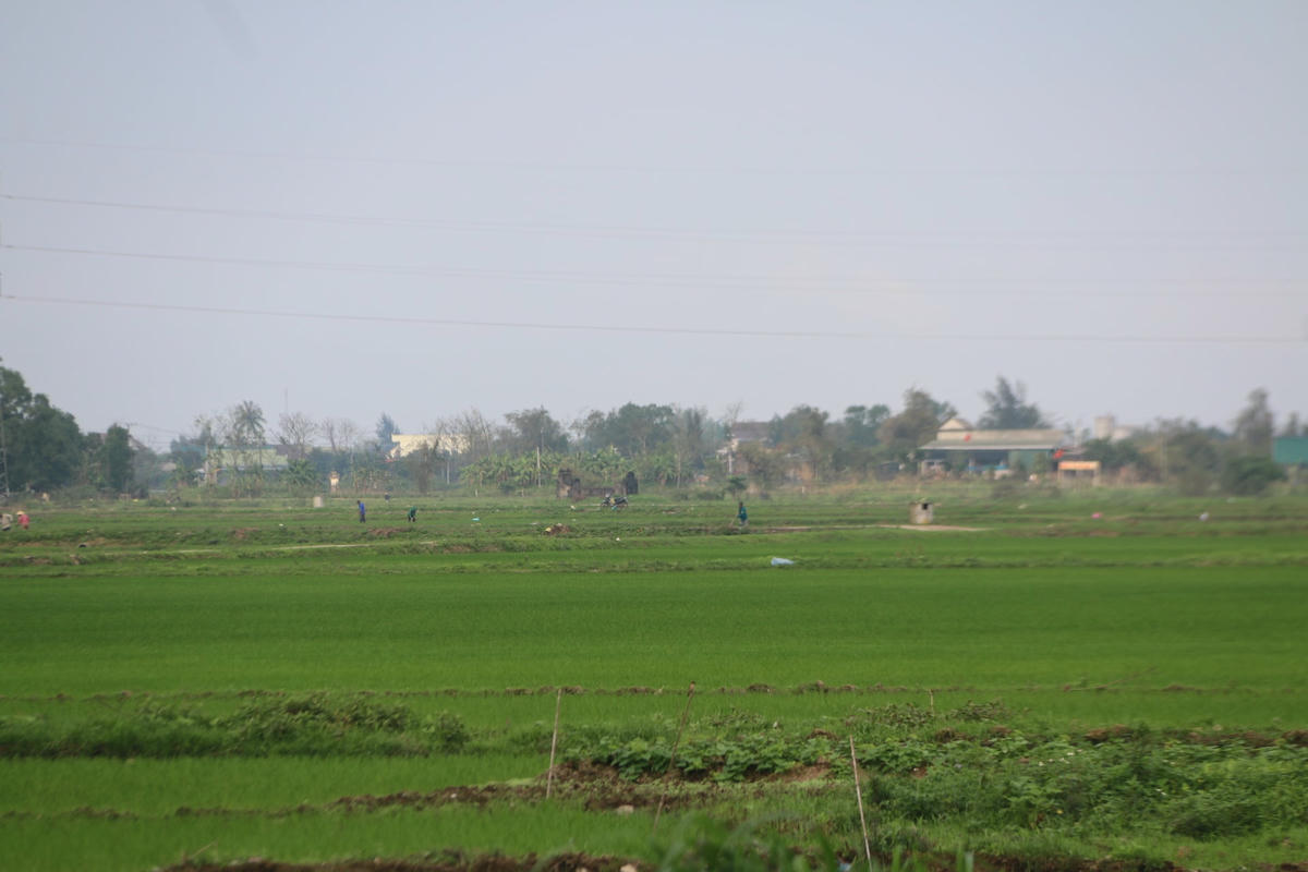 Ngoài việc bị phạt hành chính, cơ quan chức năng yêu cầu cá nhân vi phạm phải khôi phục lại tình trạng ban đầu của đất. Ảnh: minh họa.