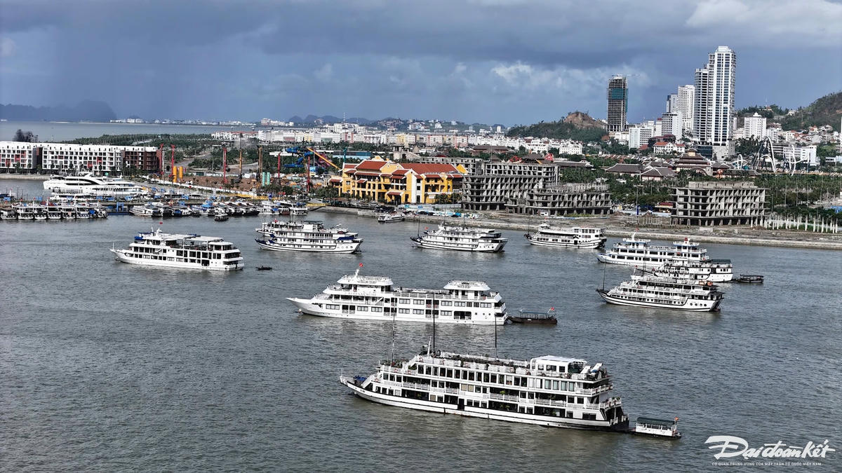 Đoàn tàu du lịch đưa khách tham quan vịnh Hạ Long sau sự cố tàu Vịnh Xanh 58. Ảnh: Nguyễn Quý.