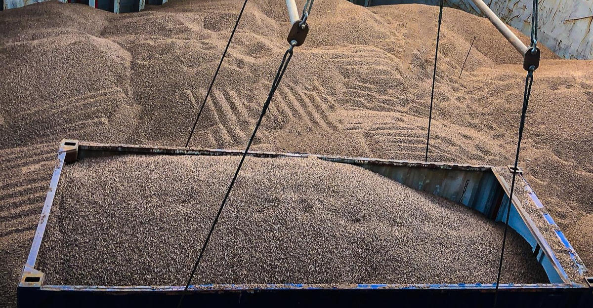 Viên nén là mặt hàng được xuất khẩu nhiều tại cảng Chu Lai trong thời gian qua.