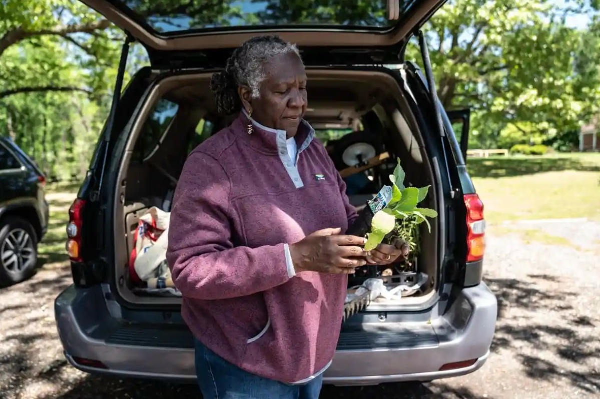 Bonnetta Adeeb giữ cây lưu ly thảo. Ảnh: Dee Dwyer / The Guardian.