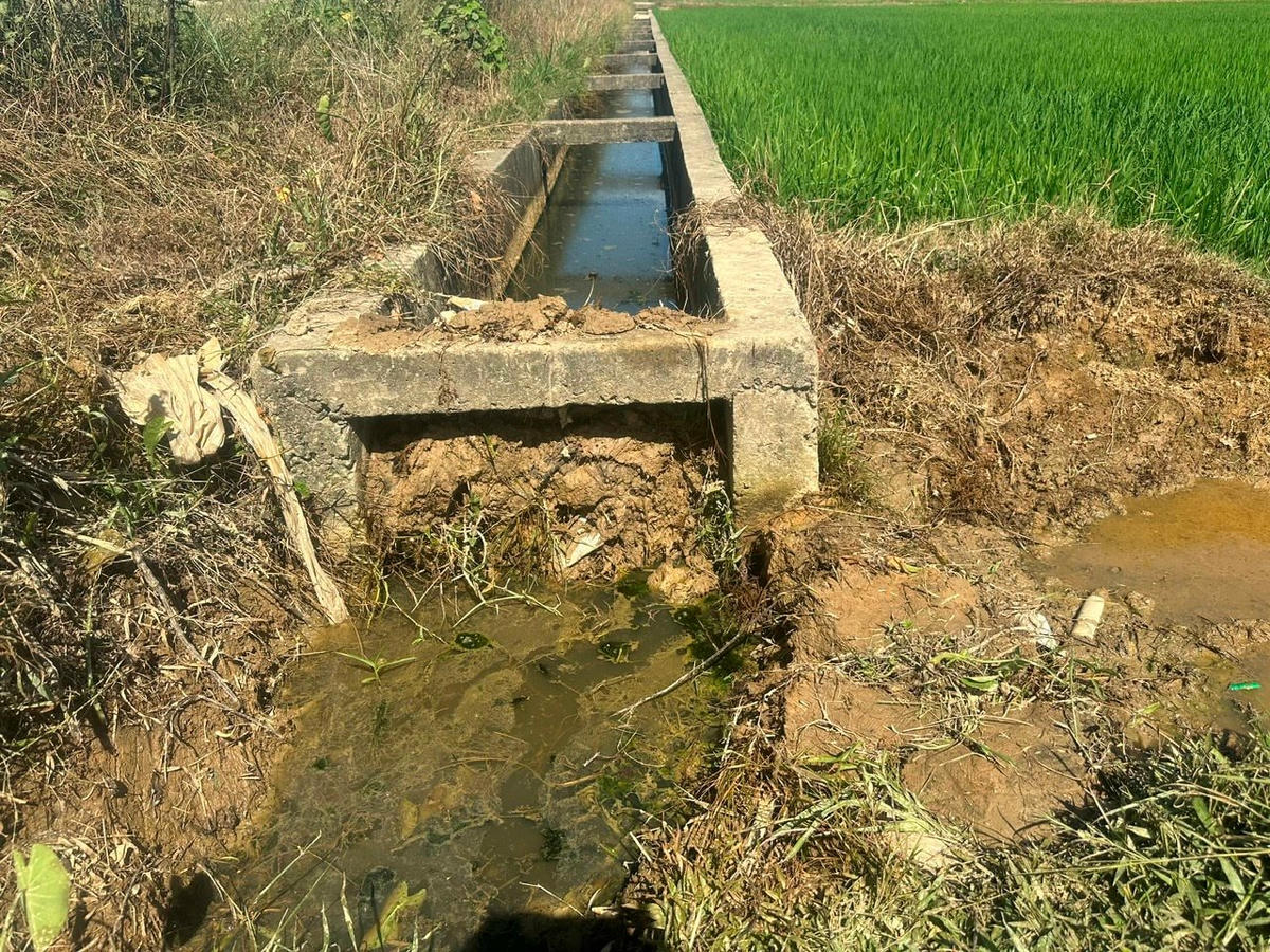 Hệ thống mương thủy lợi và bờ ruộng cũng được đắp đất cao lên để ngăn dầu loang thêm. Ảnh: HN.