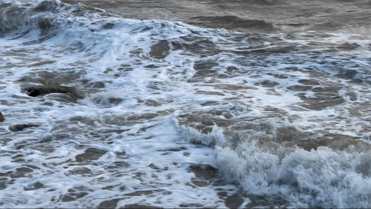 Ảnh minh họa: T.N