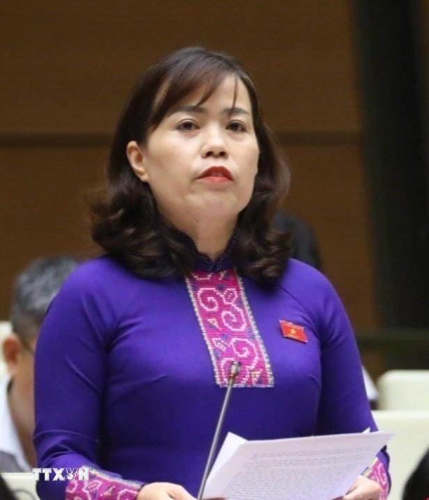 Bà Lý Thị Lan, Ủy viên Ban Thường vụ Tỉnh ủy, đại biểu Quốc hội khóa XV, giữ chức vụ Trưởng Đoàn đại biểu Quốc hội hoạt động chuyên trách khóa XV tỉnh Tuyên Quang. (Ảnh: TTXVN)