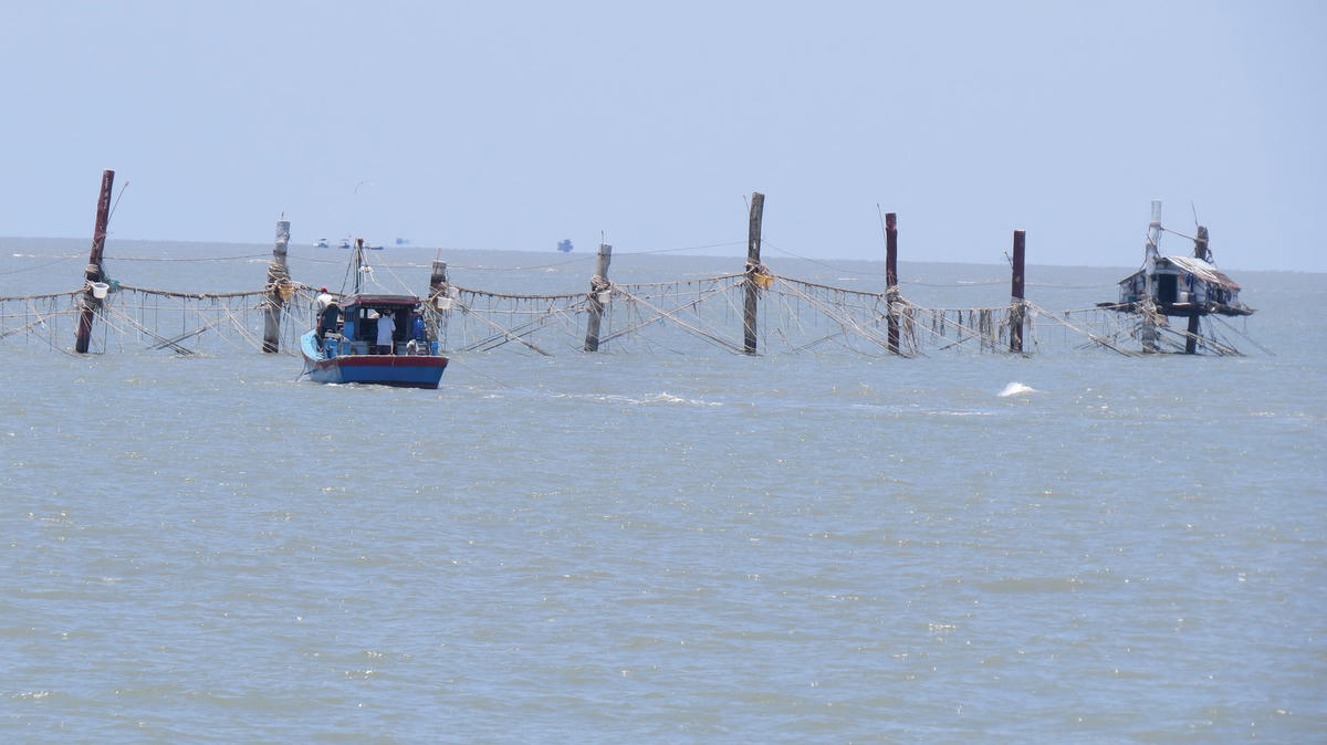 Cọc đáy hàng khơi của ngư dân Cà Mau.  