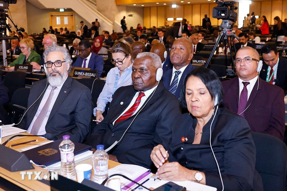 Đại biểu dự Phiên thảo luận chung. (Ảnh: Doãn Tấn/TTXVN)