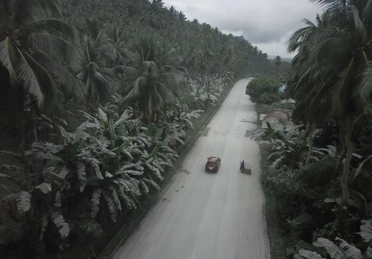 Một bức ảnh chụp từ trên không cho thấy thảm thực vật phủ đầy tro bụi. Ảnh: Getty Images.
