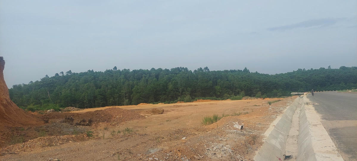 Nguyễn Tiến Lâm cùng đồng phạm 