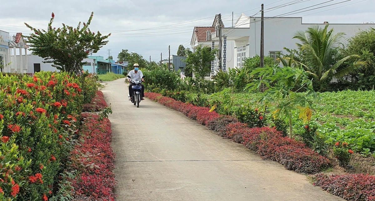 ảnh 2 Diện mạo nông thôn vùng đồng bào dân tộc ở huyện Phước Long ngày càng khang trang (1)