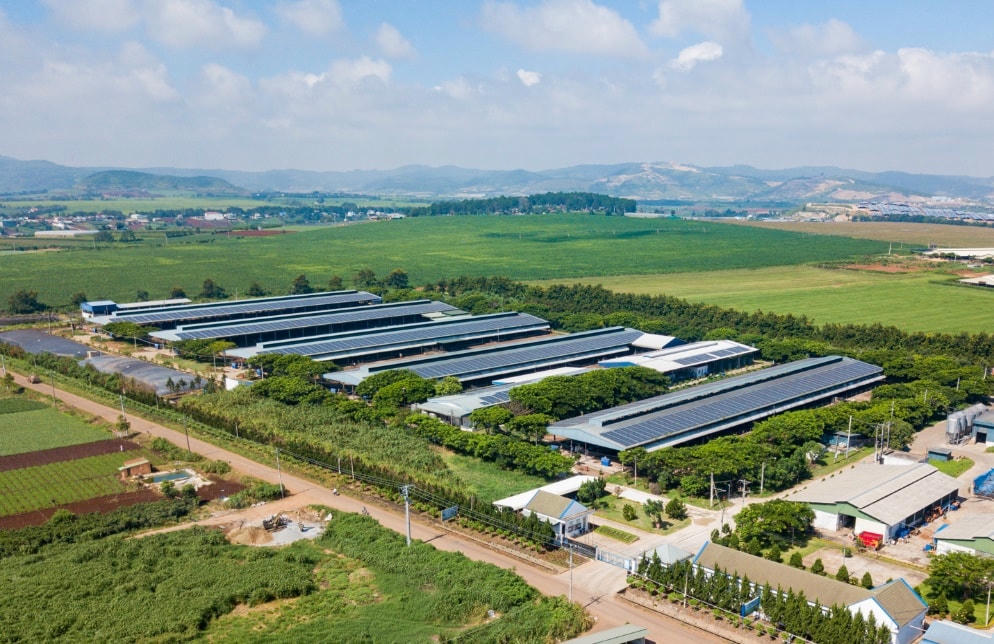 Hệ thống năng lượng mặt trời được lắp đặt giúp tiết kiệm điện năng hiệu quả.