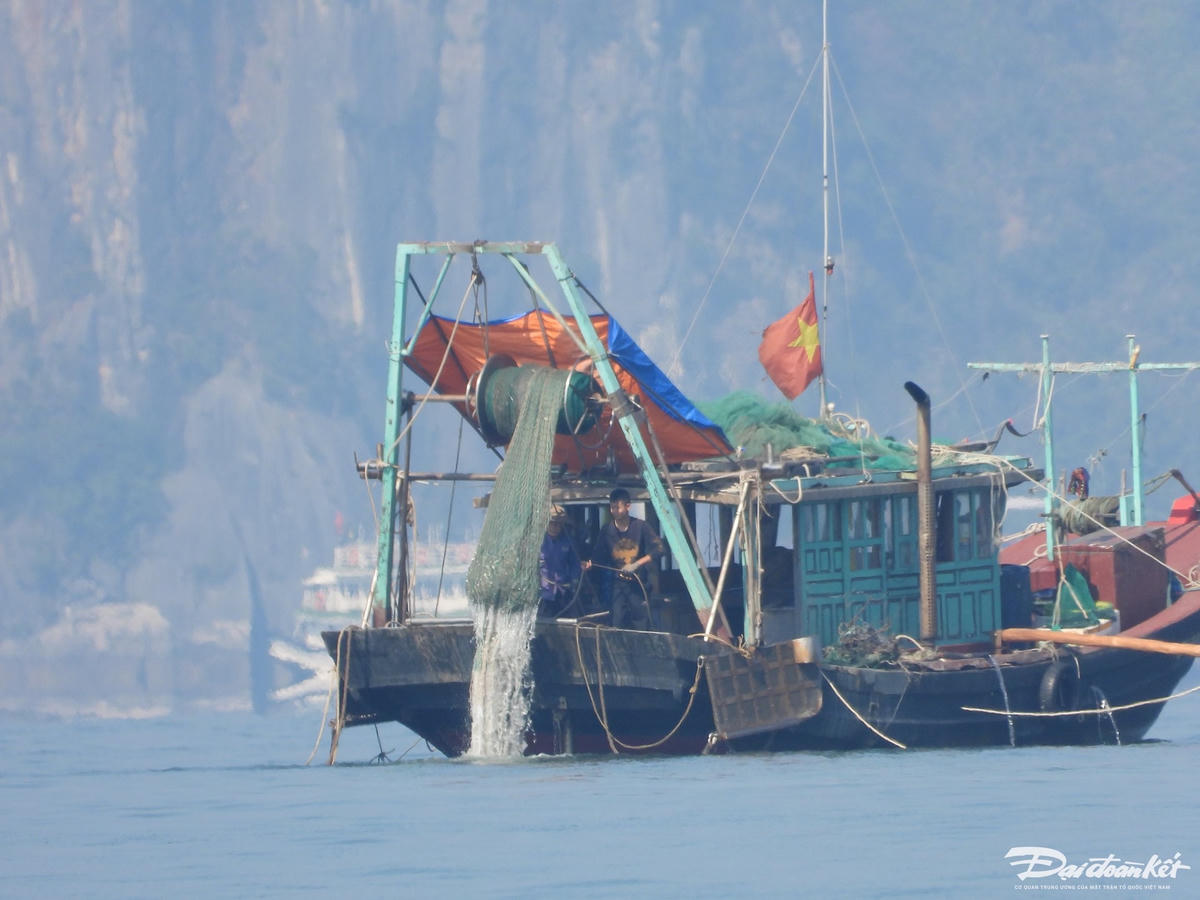 Cứ khoảng 30 phút, túi lưới chứa các loài hải sản lại được tời từ đáy biển lên tàu.