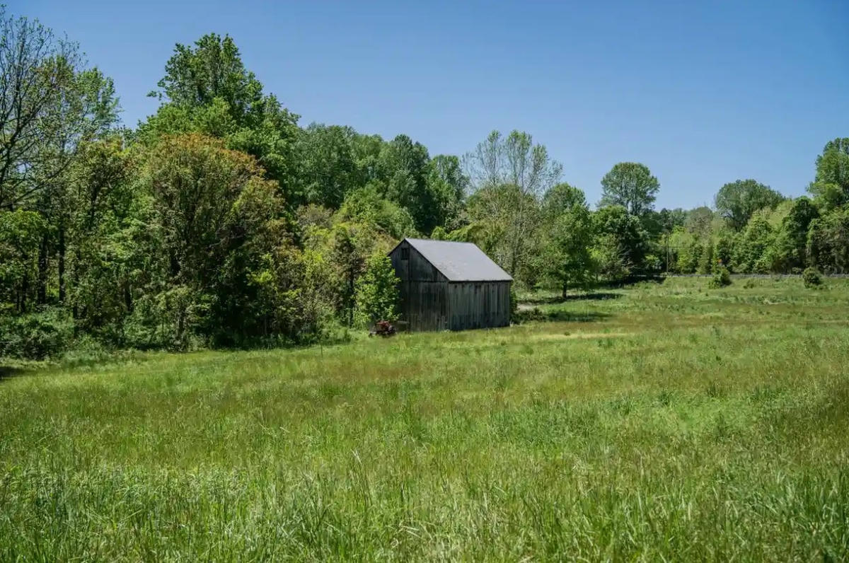 Khu vườn của Adeeb ở Maryland. Ảnh: Dee Dwyer / The Guardian.