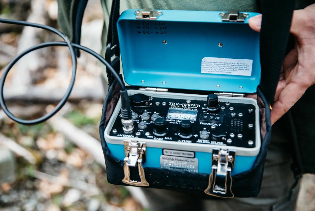 Một bộ thu theo dõi được sử dụng nhưng bắt sóng kém, không thể tìm thấy tín hiệu. Ảnh: The Guardian.