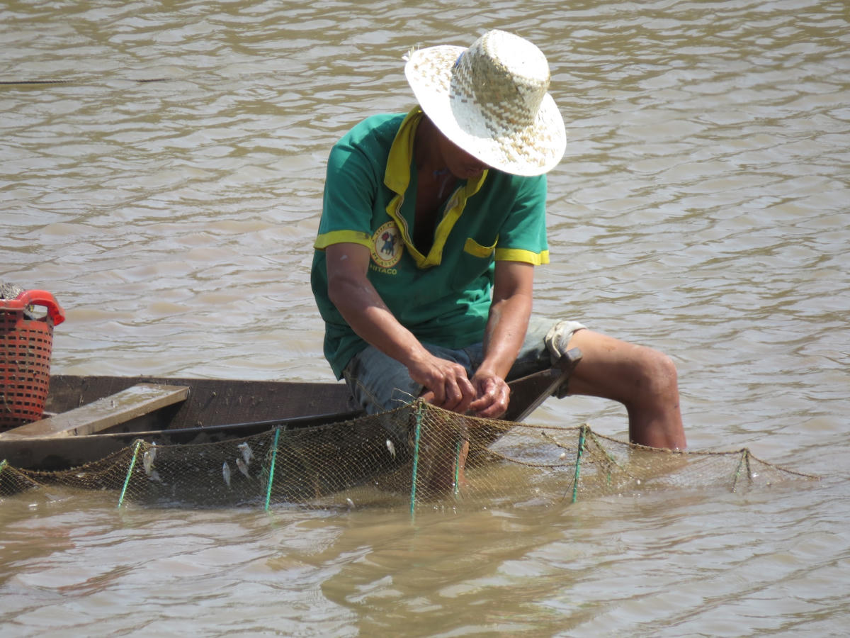 Niềm vui khi gỡ lú của anh Thiện.  
