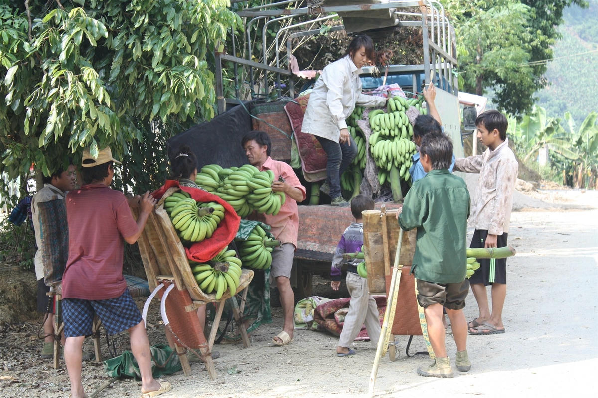 Việc triển khai hiệu quả Chương trình Mục tiêu quốc gia góp phần nâng cao thu nhập cho đồng bào các dân tộc Mường Khương.