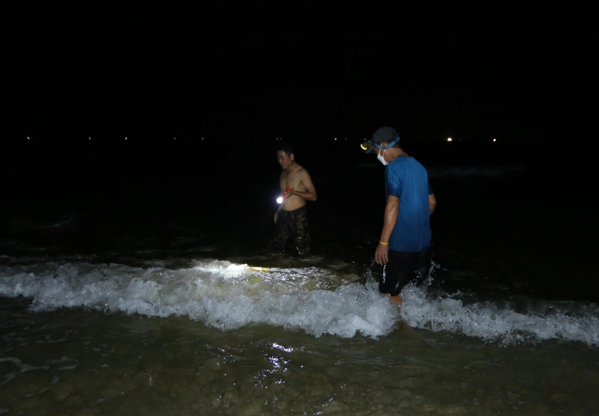 Người dân bắt bạch tuộc theo từng cơn sóng biển.