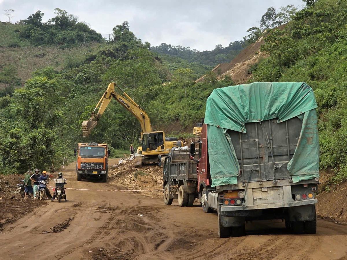 ảnh 1 ăn rừng ngủ núi